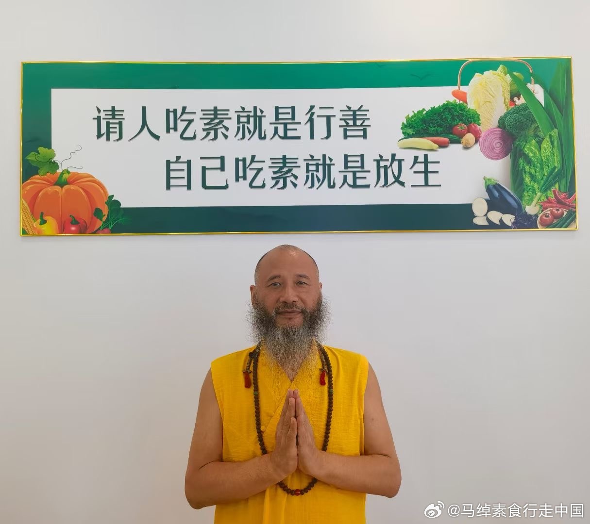 不了我今天吃素打一正确生肖，全面释义、详细解答解释落实