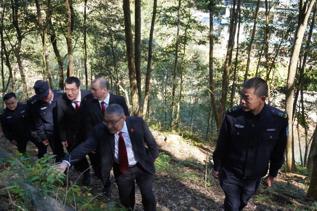 欲钱看大火烧竹林是什么生肖请全面释义、解释与落实、构建解答解释落实
