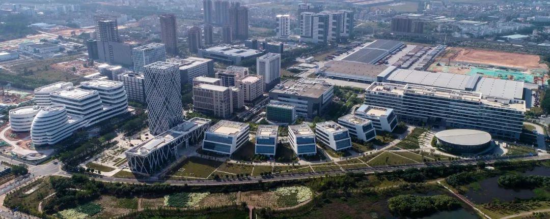 欲钱看大火烧竹林是什么生肖请全面释义、解释与落实、构建解答解释落实
