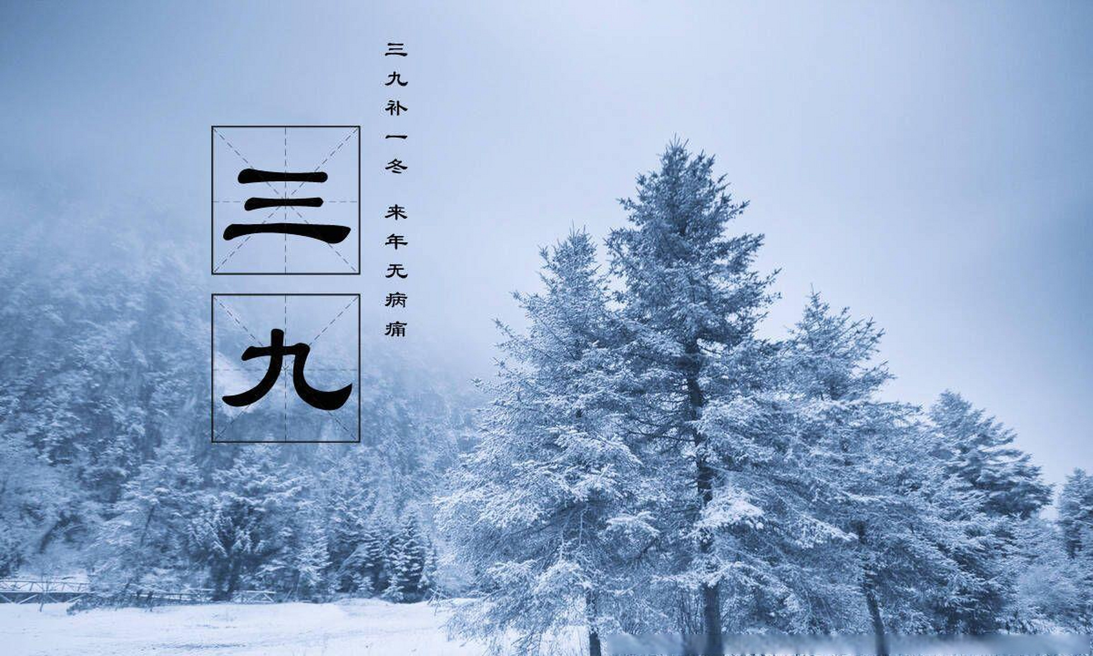三三得九各一半,一一道来也不难是什么生肖,警惕虚假宣传落实,详细解答解释落实