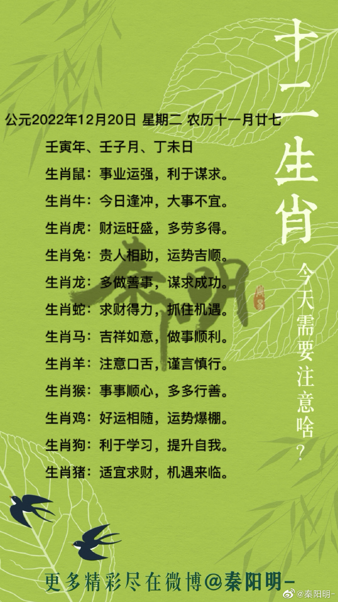 风亭幽月十五晴云路爷天四十归生肖的全面释义、解释与落实、前沿解答解释落实