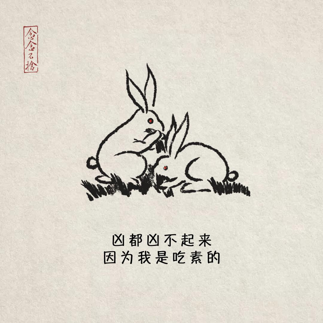 不了我今天吃素打一正确生肖，全面释义、详细解答解释落实